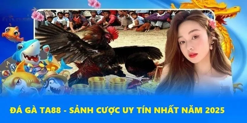 Đá gà Ta88 đang là sảnh cược nổi bật nhất tại sân chơi uy tín nhất 2025